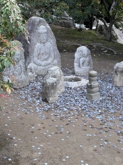 IMG_8818.jpeg