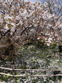 IMG_8826.jpeg
