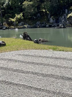IMG_8848.jpeg