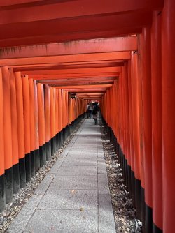 IMG_8868.jpeg