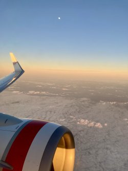 IMG_3990.jpeg