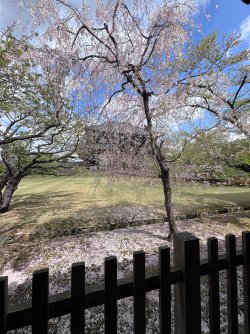 IMG_8897.jpeg