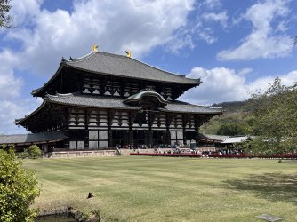 IMG_8895.jpeg