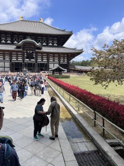 IMG_8898.jpeg