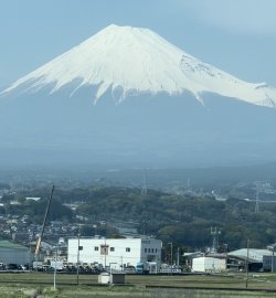 IMG_8971.jpeg