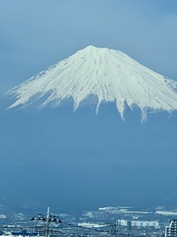 IMG_8958.jpeg