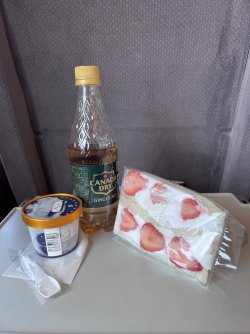 IMG_8954.jpeg