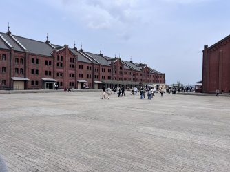 IMG_8979.jpeg