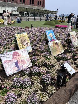 IMG_8987.jpeg