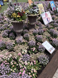 IMG_8986.jpeg