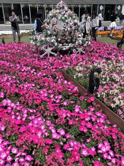 IMG_8984.jpeg