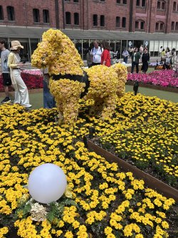 IMG_8983.jpeg