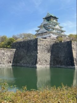 IMG_9698.jpeg