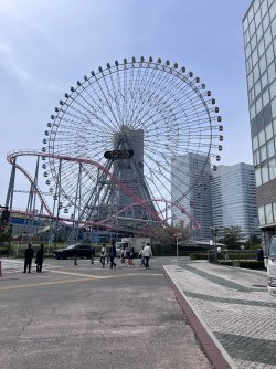 IMG_9008.jpeg