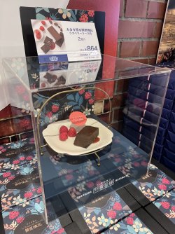 IMG_8996.jpeg