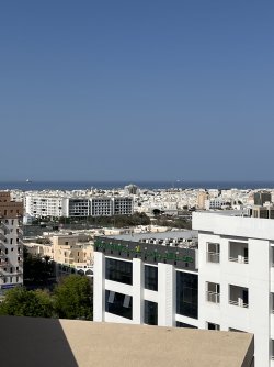 IMG_4568.jpeg