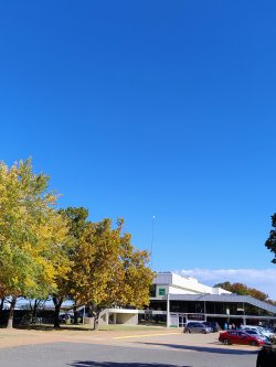 IMG_20250418_140623164_AE.jpg