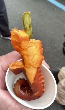 IMG_6770.jpeg