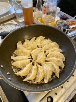 IMG_6830.jpeg