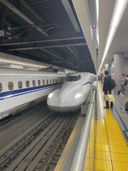 IMG_7037.jpeg