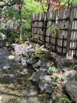 IMG_9055.jpeg