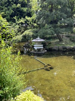 IMG_9054.jpeg