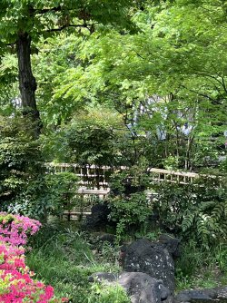 IMG_9053.jpeg