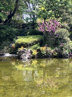 IMG_9052.jpeg