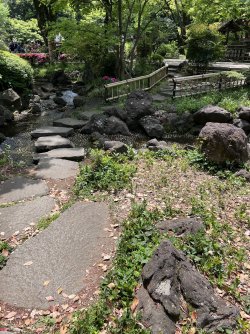 IMG_9051.jpeg