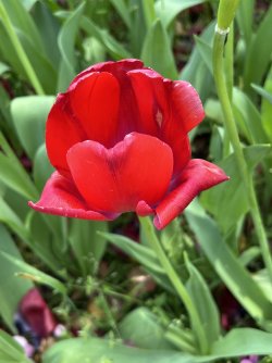 IMG_9040.jpeg