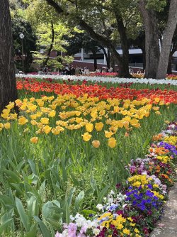 IMG_9039.jpeg