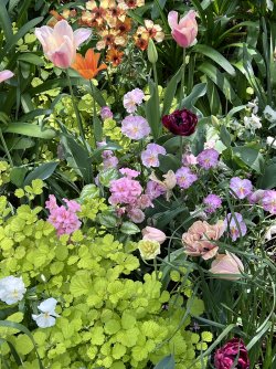 IMG_9035.jpeg