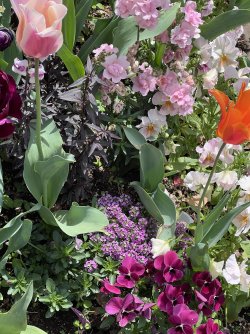 IMG_9034.jpeg