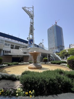 IMG_9058.jpeg