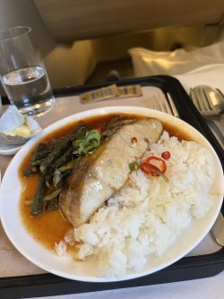 IMG_3131.jpeg