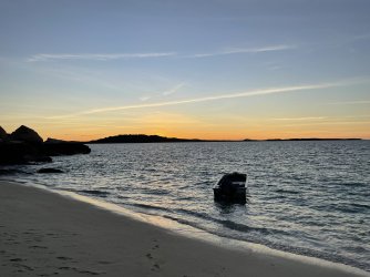 IMG_4200.jpeg