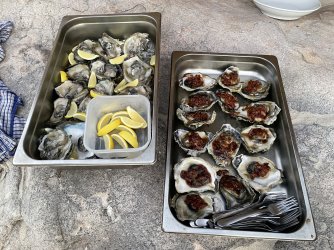 IMG_4204.jpeg