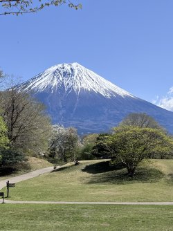 IMG_9167.jpeg