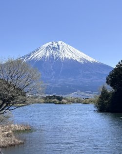 IMG_9160.jpeg