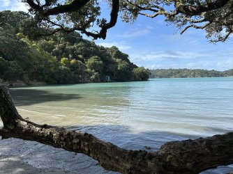 IMG_6669.jpeg