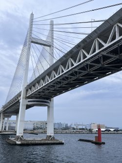 IMG_9125.jpeg