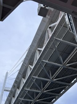 IMG_9126.jpeg