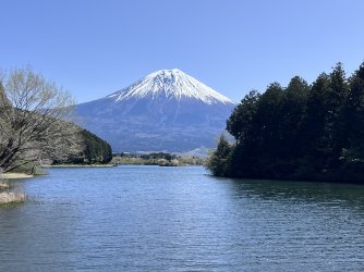 IMG_9166.jpeg