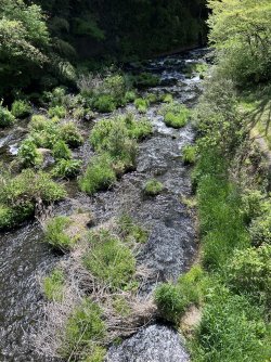 IMG_9194.jpeg