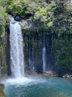 IMG_9189.jpeg