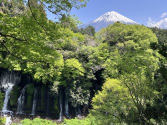 IMG_9199.jpeg