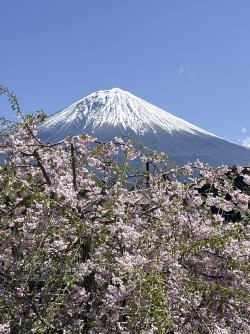 IMG_9182.jpeg