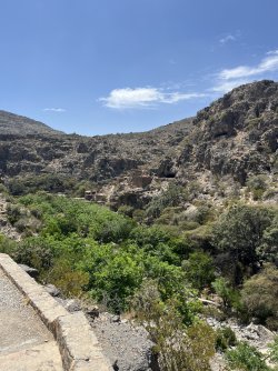 IMG_5031.jpeg