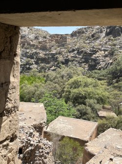 IMG_5041.jpeg