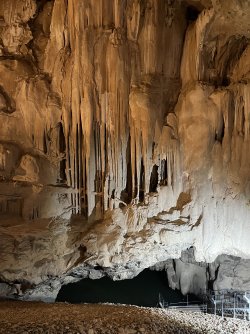 IMG_5261.jpeg